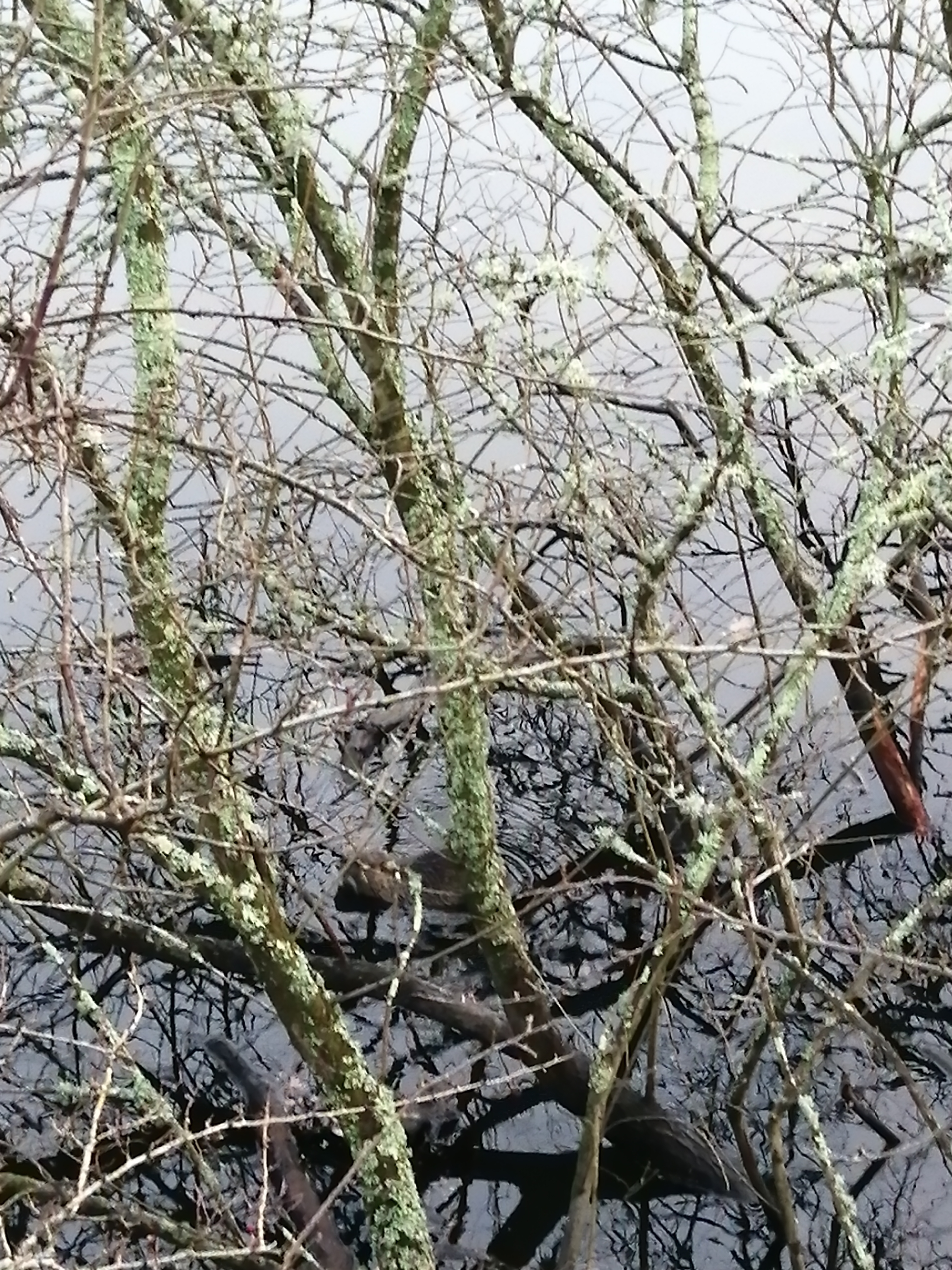 Photo n° 12 de l'avis de Pierre.i fait le 28/01/2020 à 16:51