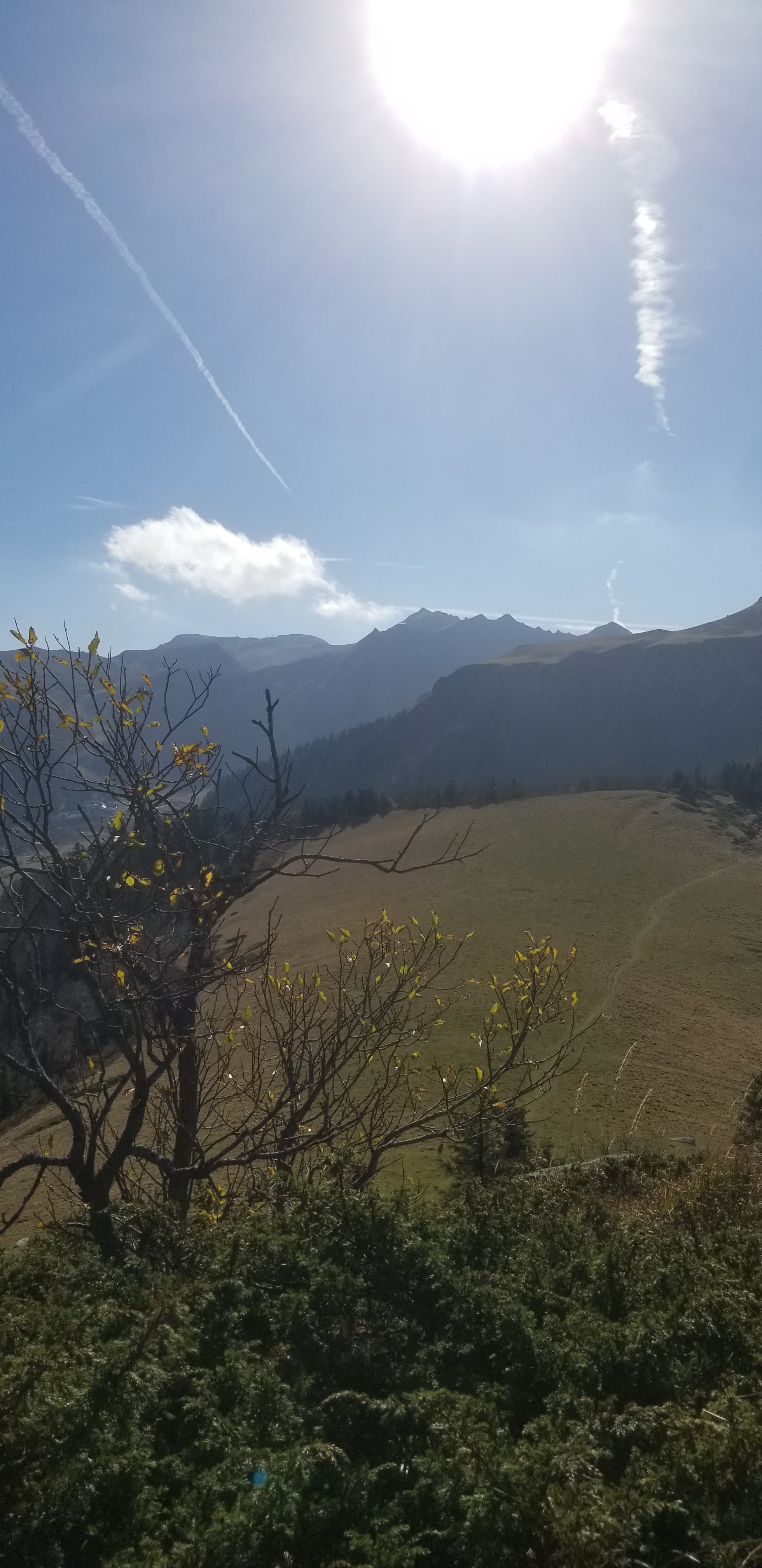 Photo n° 18 de l'avis de Céline.O fait le 28/10/2021 à 15:42