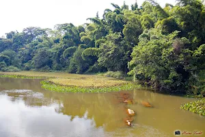 Núcleo de Educação Ambiental "Sinhô Muniz" image