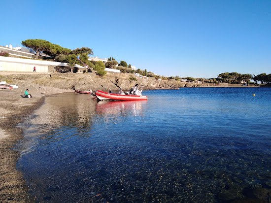 Platja Ses Oliveres