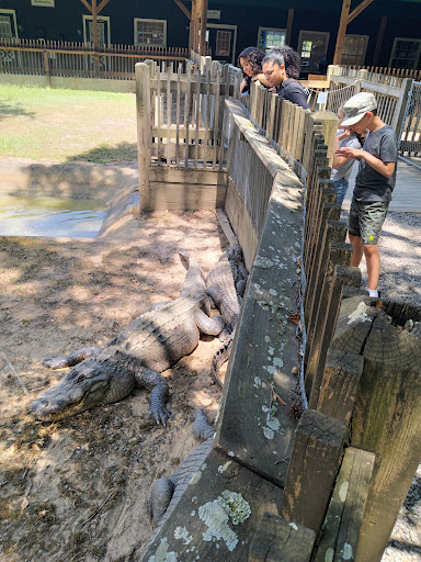 Zoo «Gators and Friends», reviews and photos, 11441 US-80, Greenwood, LA 71033, USA