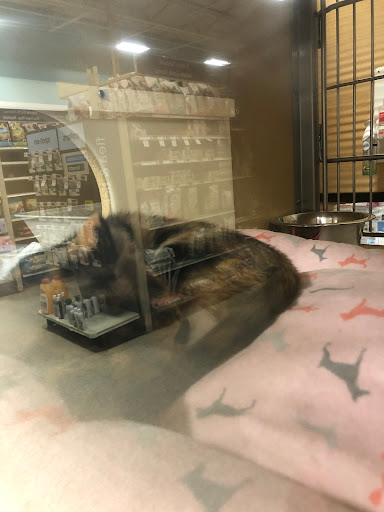 Pet Supply Store «PetSmart», reviews and photos, 39410 Argonaut Way, Fremont, CA 94538, USA