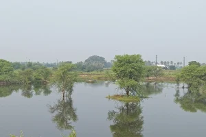 Chinnasalem lake image