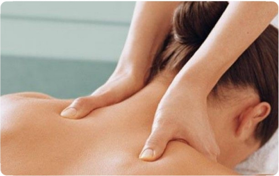 Bosque Bodywork 76634