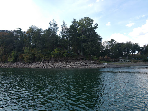 Marina «Mitchell Creek Marina», reviews and photos, 1260 Livingston Boat Dock Rd, Allons, TN 38541, USA