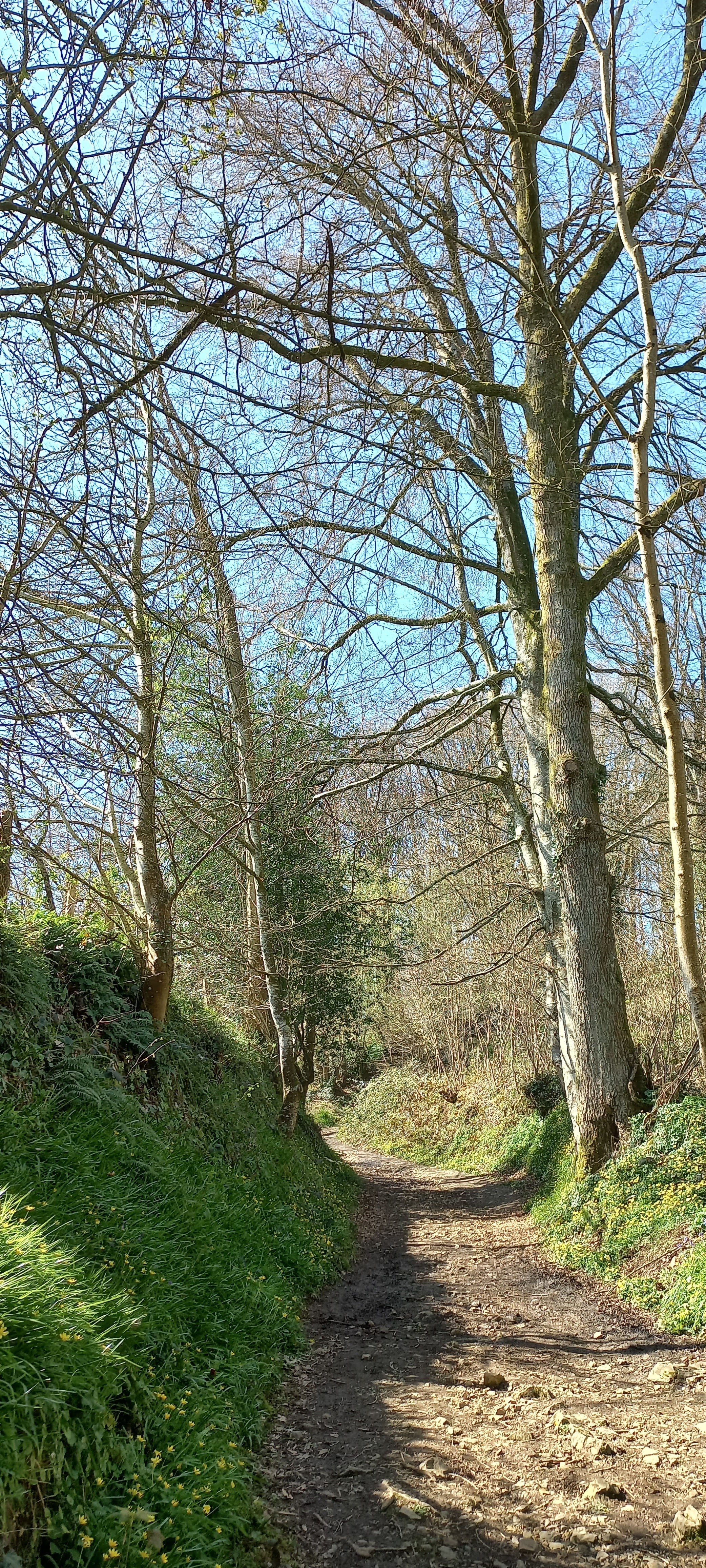 Photo n° 6 de l'avis de Françoise.o fait le 16/04/2023 à 15:18