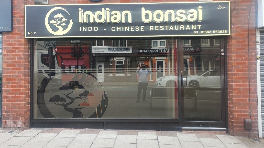 Indian Bonsai