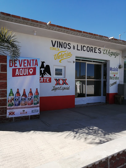 Vinos y licores el aguaje - Secc Uno, 74140 San Felipe Teotlalcingo, Puebla, Mexico