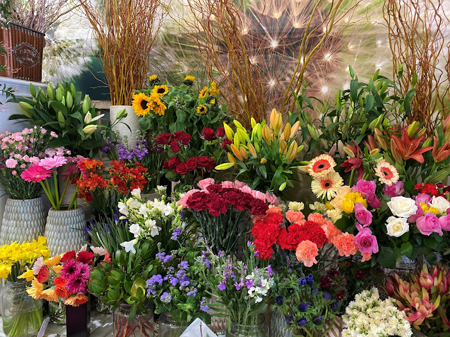 Reviews of Flowers Et Cetera in Lower Hutt - Florist