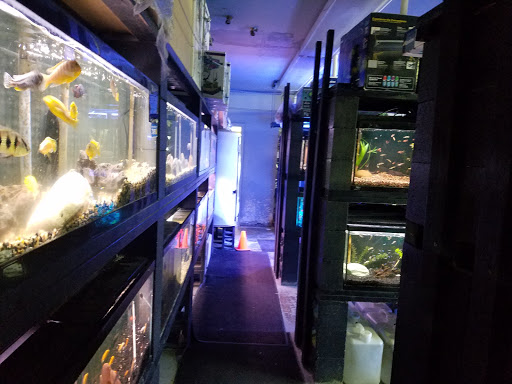 Ultimate Aquarium Inc