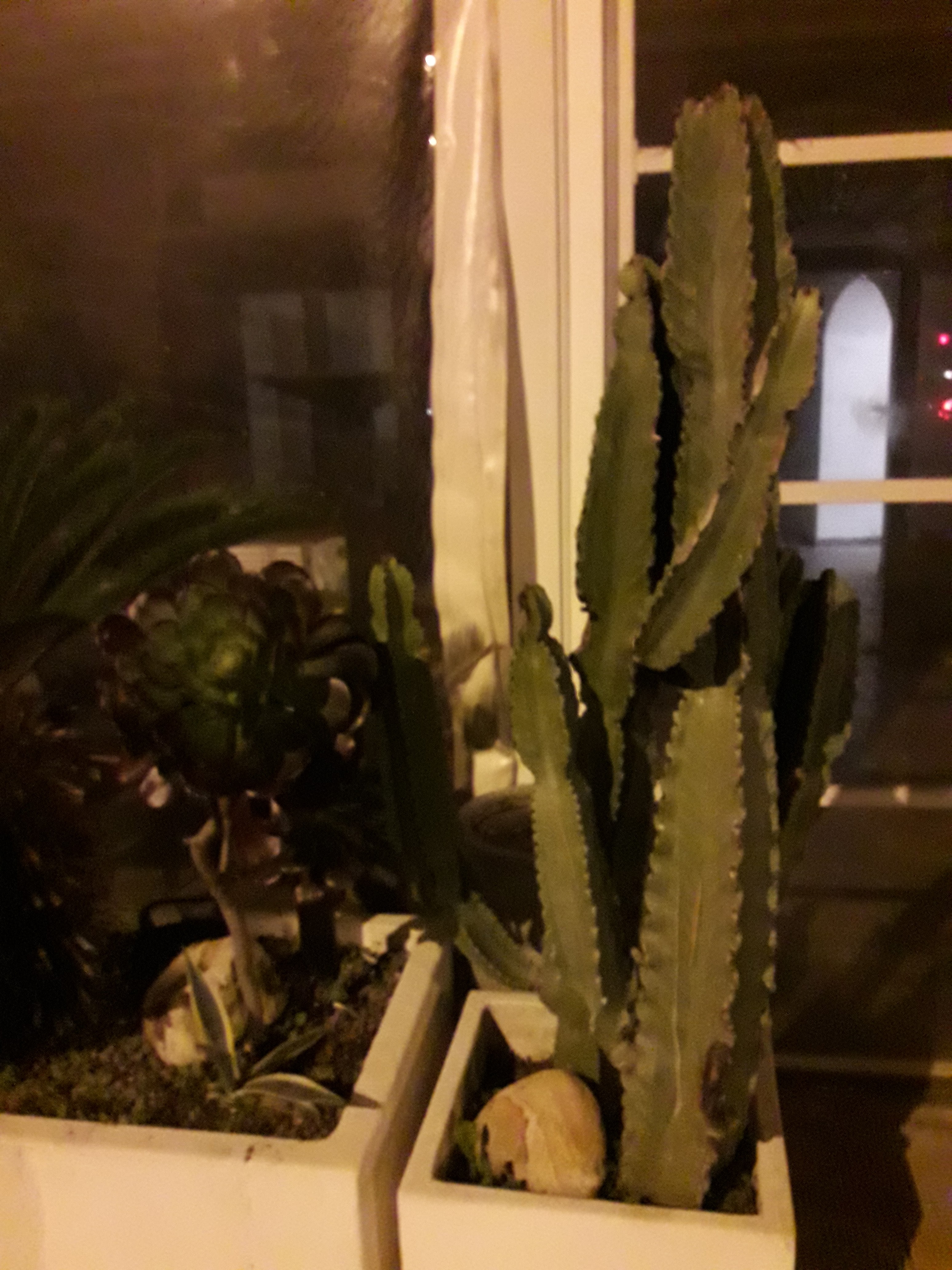 Photo n° 22 de l'avis de Stefe. fait le 25/02/2018 à 00:05