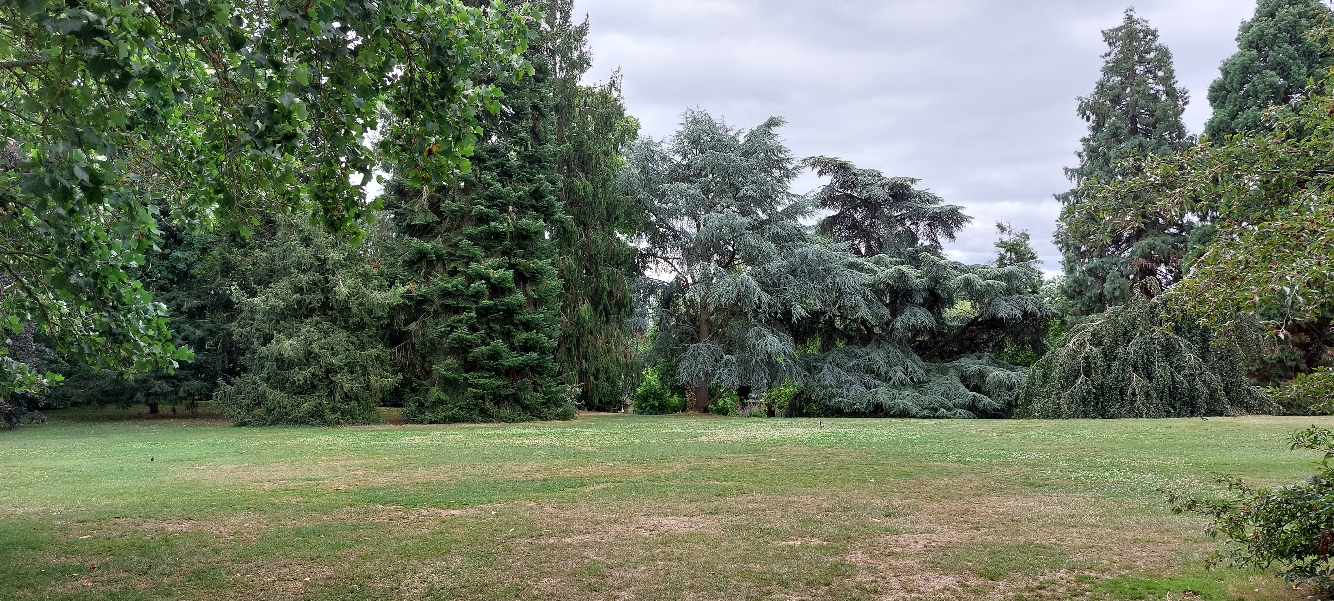 Photo n° 13 de l'avis de Michel.F fait le 27/07/2023 à 14:53