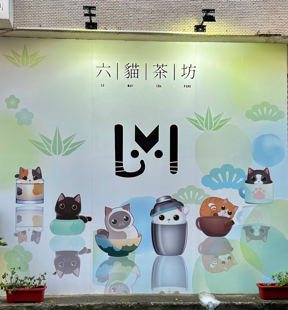 六貓茶坊 的照片