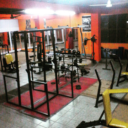 BODY BUILDING GYM