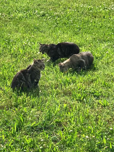 Golf Course «RiverWinds Golf & Tennis Club», reviews and photos, 270 Eagle Point Rd, West Deptford, NJ 08086, USA