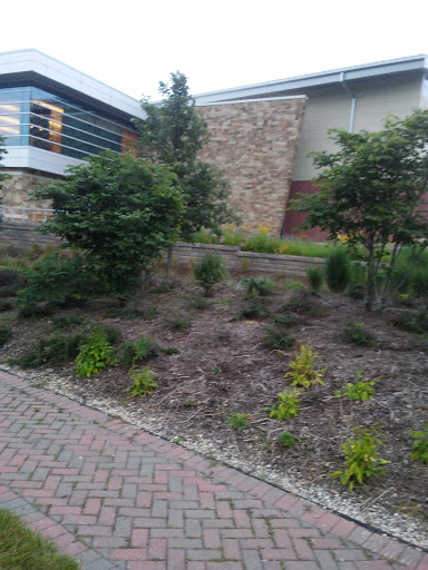 Park «Carol Stream Park District», reviews and photos, 849 W Lies Rd, Carol Stream, IL 60188, USA