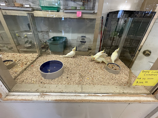 Pet Store «Fosters Exotic Pet Center», reviews and photos, 40116 US Hwy 19 N, Tarpon Springs, FL 34689, USA