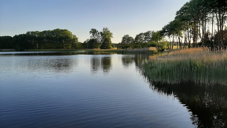 Extérieur Holiday apartment Feriendorf Sternberger Seenland 19406 Dabel
