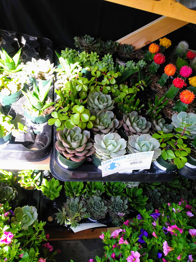 Hardware Store «Orchard Supply Hardware», reviews and photos, 2245 Gellert Blvd, South San Francisco, CA 94080, USA