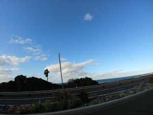 Palm Beach Park - photo 40