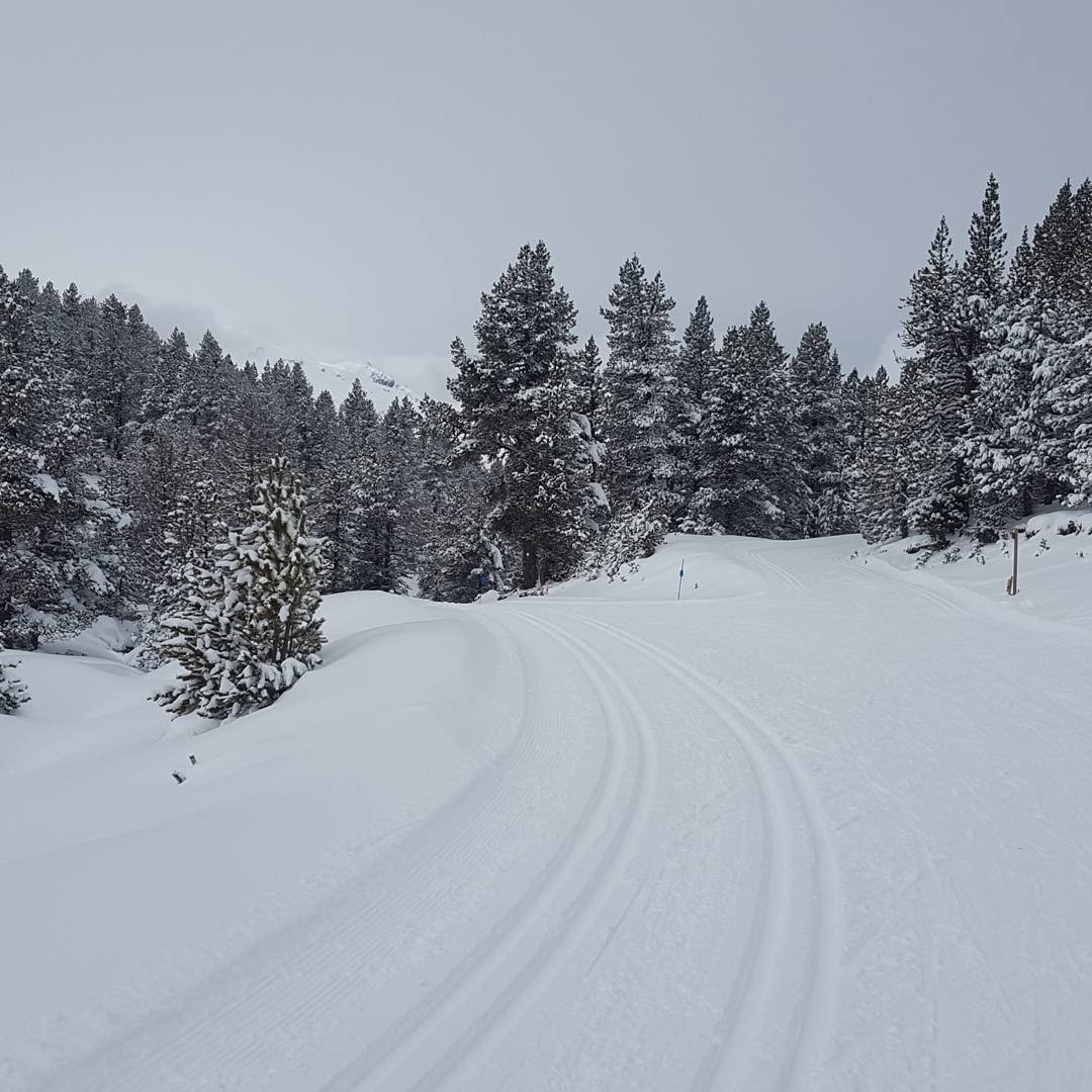 Photo n° 1 de l'avis de Thorvald.' fait le 14/02/2018 à 15:36