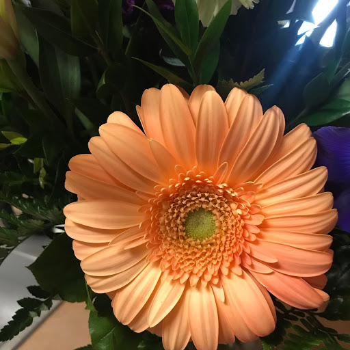 Florist «Keller Florist», reviews and photos, 901 Keller Pkwy E, Keller, TX 76248, USA