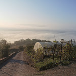 Photo n°16 de l'avis de Vincenzo.i fait le 16/10/2022 à 18:53 sur le  Fattoria La Cinta à San Vitale II
