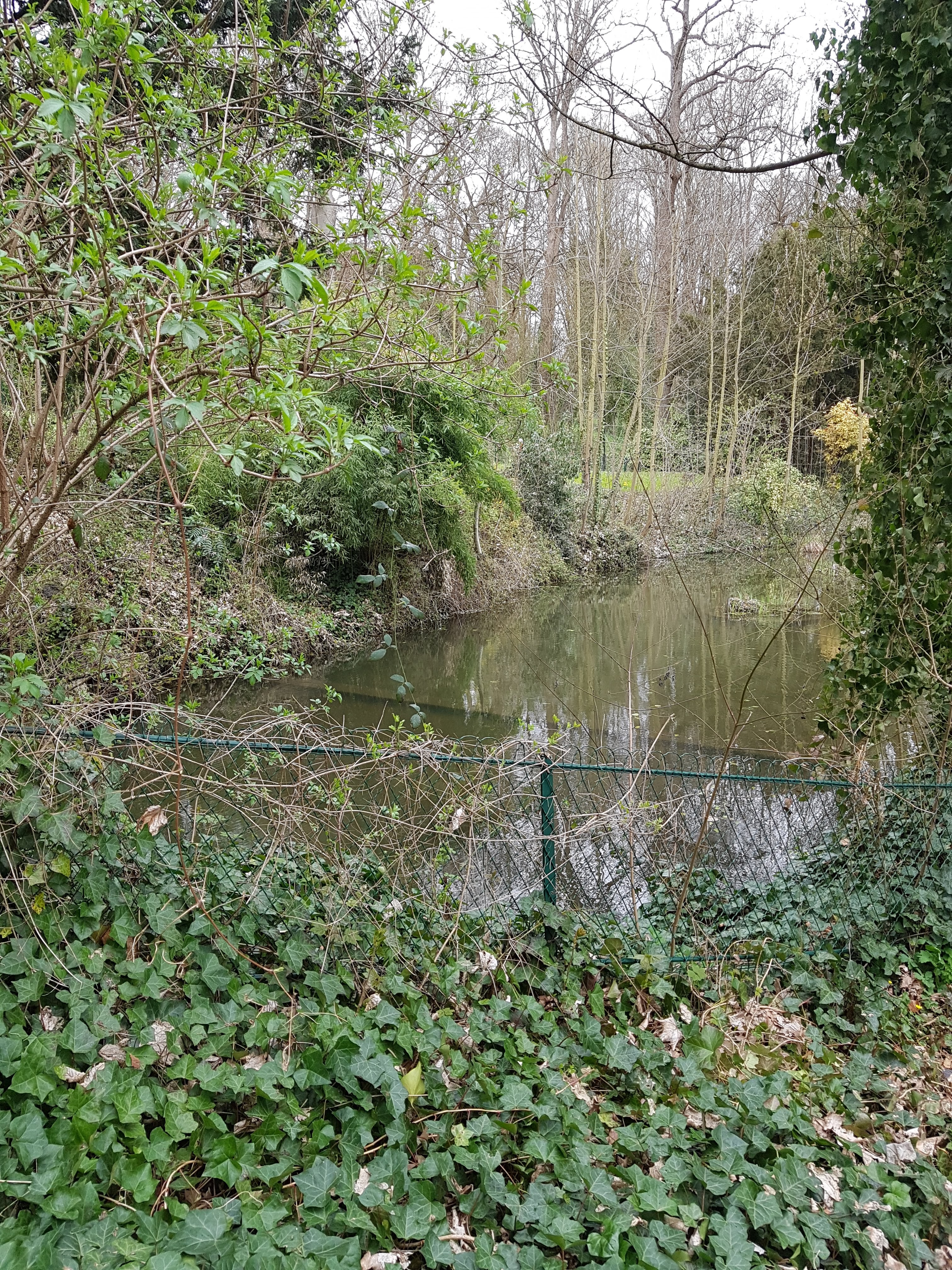 Photo n° 2 de l'avis de A. fait le 03/04/2018 à 09:37