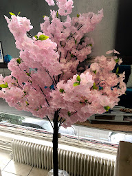 Photo n°17 de Tokko à Paris ()