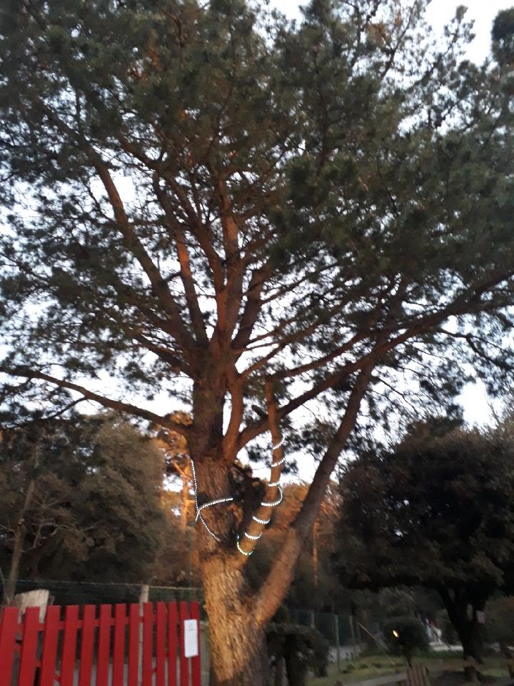 Photo n° 19 de l'avis de Nicole.a fait le 12/04/2018 à 21:45