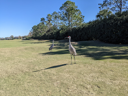 Golf Club «Kissimmee Bay Country Club», reviews and photos, 2801 Kissimmee Bay Blvd, Kissimmee, FL 34744, USA