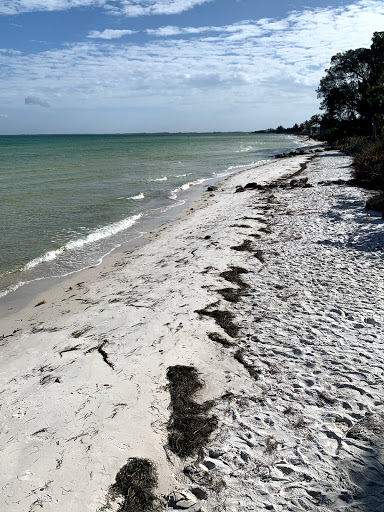 Gift Shop «Sand Dollar Gift Shop», reviews and photos, 5302 Marina Dr, Holmes Beach, FL 34217, USA