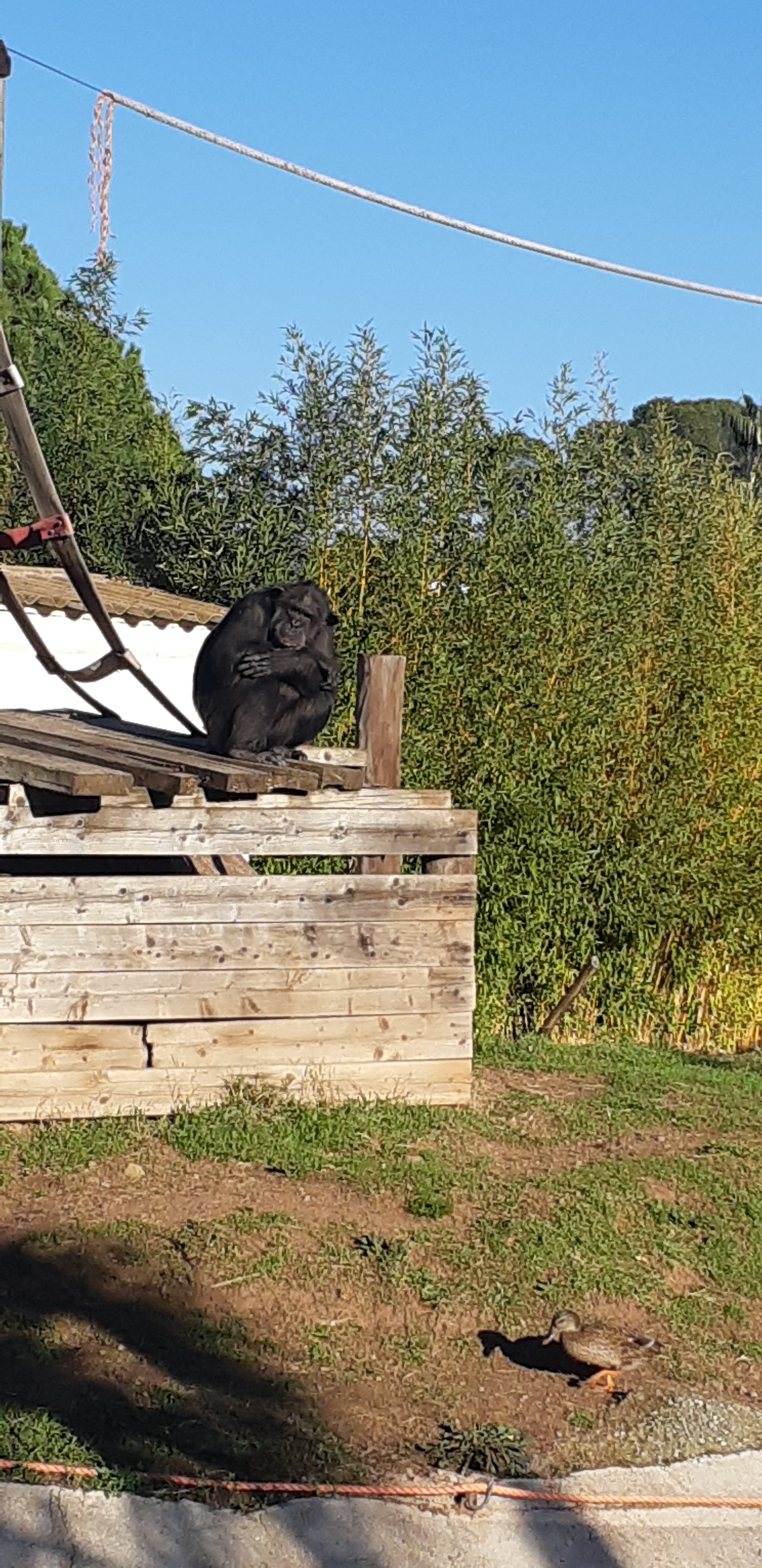 Photo n° 2 de l'avis de F.e fait le 20/11/2021 à 15:39