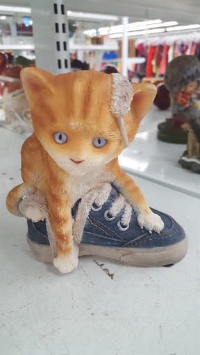 Thrift Store «Savers», reviews and photos