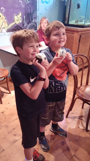 Amusement Center «Thunder Valley», reviews and photos, 1865 Dillard Dr, Salem, VA 24153, USA