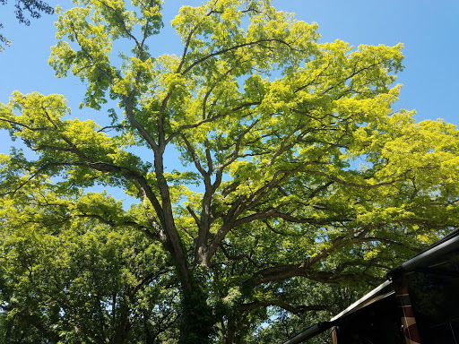 Campground «Hide Away Lakes», reviews and photos, 8045 Van Emmon Rd, Yorkville, IL 60560, USA