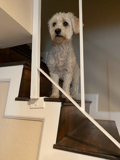 Sporting Goods Store «All American Sports Shop», reviews and photos, 20120 Saticoy St, Winnetka, CA 91306, USA