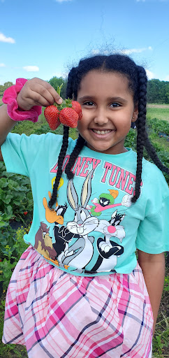 Produce Market «Mt Olympus Berry Farm», reviews and photos, 23298 Jefferson Davis Hwy, Ruther Glen, VA 22546, USA