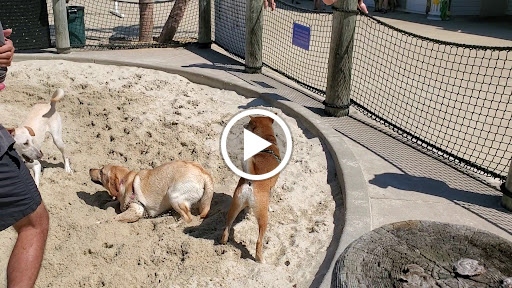 Park «Bull Run Regional Park», reviews and photos, 7700 Bull Run Dr, Centreville, VA 20121, USA