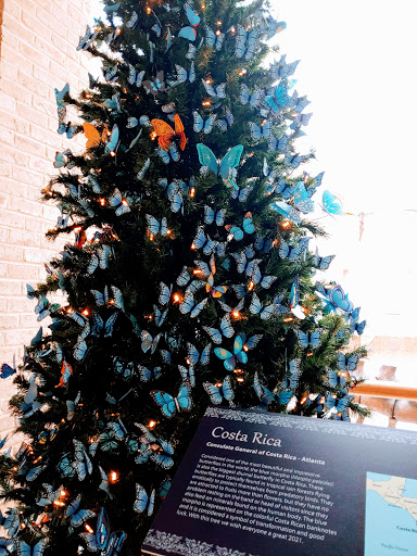 Natural History Museum «Fernbank Museum of Natural History», reviews and photos, 767 Clifton Rd, Atlanta, GA 30307, USA