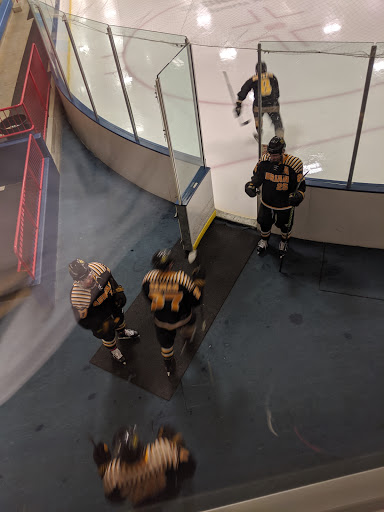 Ice Skating Rink «Wings West», reviews and photos, 5076 Sports Dr, Kalamazoo, MI 49009, USA