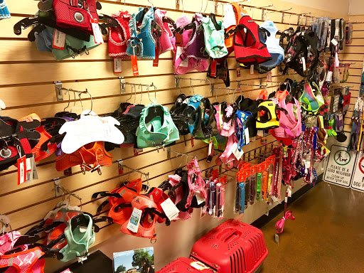 Pet Store «In The Ruff Pet Stuff», reviews and photos, 7380 Spout Springs Rd #190, Flowery Branch, GA 30542, USA
