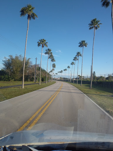 Golf Driving Range «The Wanderers Club», reviews and photos, 1900 Aero Club Dr, Wellington, FL 33414, USA