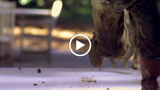 Flooring Store «Beseda Flooring», reviews and photos, 5773 Westwood Dr, St Charles, MO 63304, USA