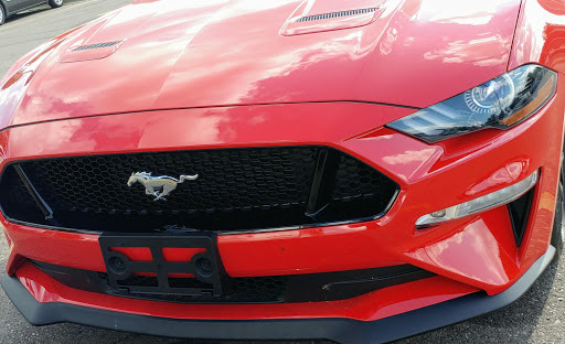 Grocery Store «D & W Fresh Market», reviews and photos, 151 West Grand River Avenue, Williamston, MI 48895, USA