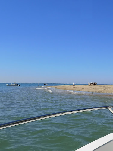 Agence d'excursions en bateau LE NYRVANA L'Aiguillon-la-Presqu'île