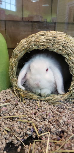 Pet Store «Animart», reviews and photos, 4303 E Towne Way, Madison, WI 53704, USA