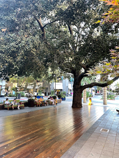 Patisserie «Cocola Bakery», reviews and photos, 333 Santana Row #1045, San Jose, CA 95128, USA