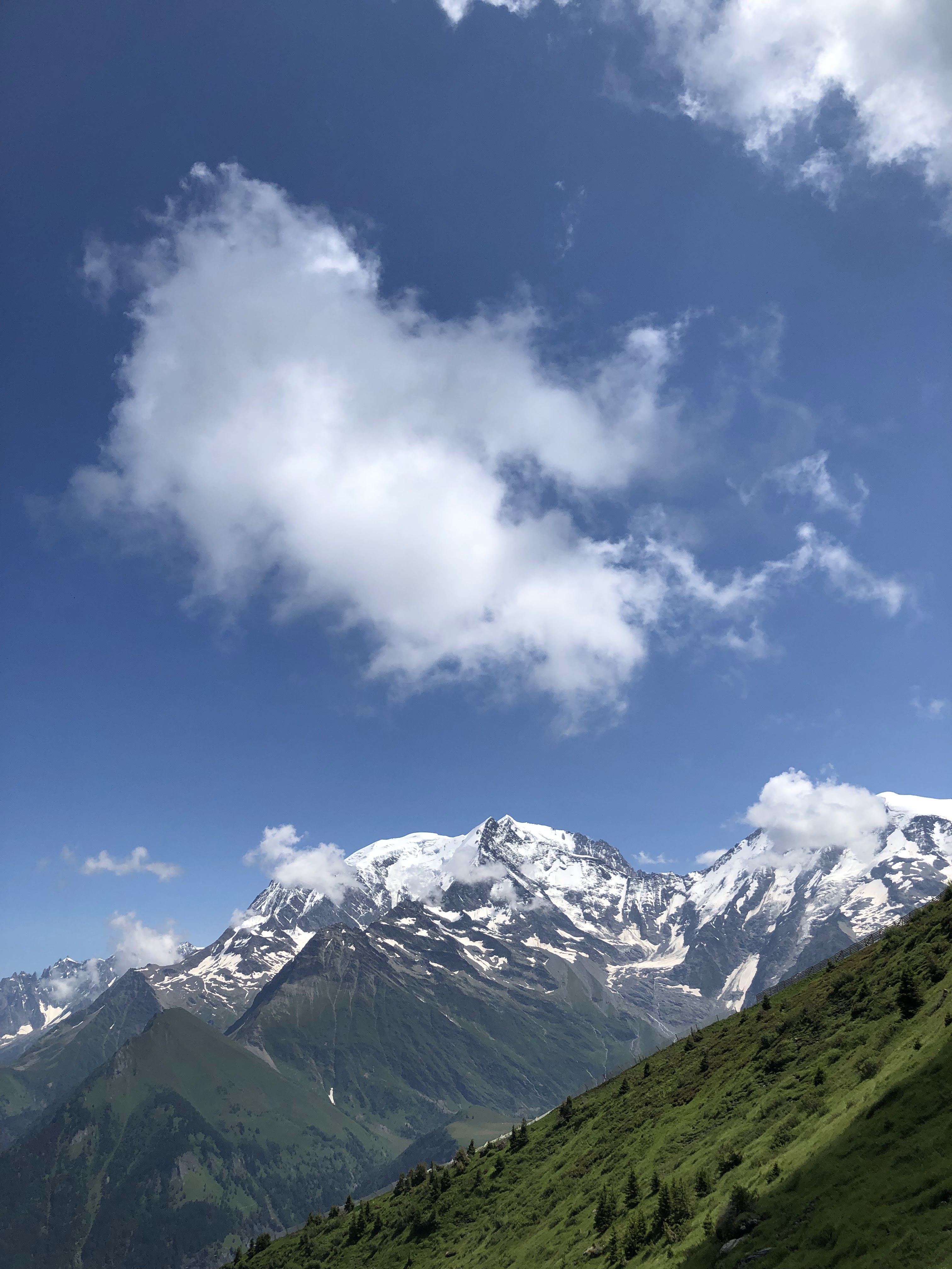 Photo n° 1 de l'avis de Virgile. fait le 20/07/2021 à 19:18