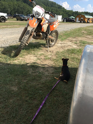 Motorcycle Dealer «Extreme Powersports Inc», reviews and photos, 4501 Jefferson Davis Hwy, Fredericksburg, VA 22408, USA